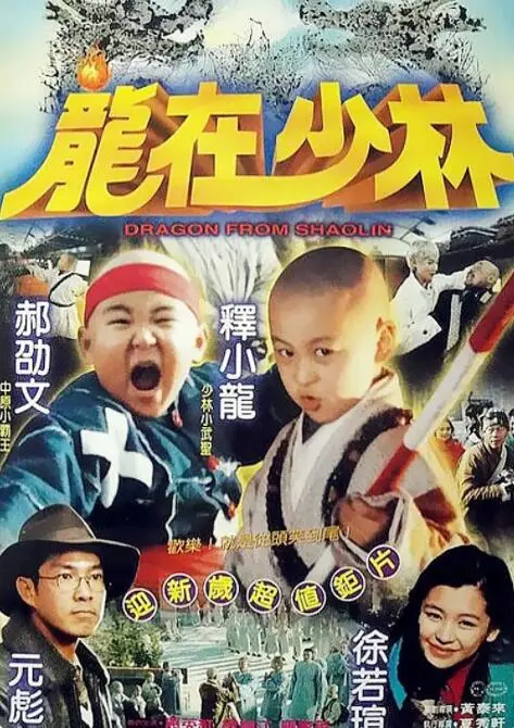 《龙在少林》：功夫小子释小龙的青涩初恋与成长烦恼，一窥少林寺的独特魅力！